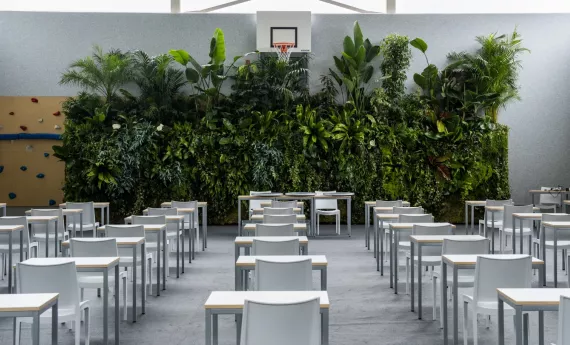 Meer rust tijdens examens dankzij groen in de examenzaal